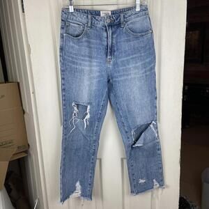 insane gene distressed high rise straight crop jean small